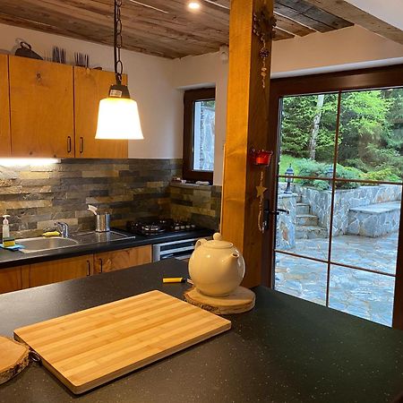 Mountain Chalet - Cabana La Muntele Baisorii Muntele Cacovei  Zewnętrze zdjęcie