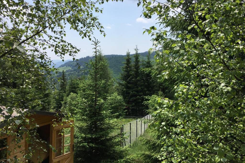 Mountain Chalet - Cabana La Muntele Baisorii Muntele Cacovei  Zewnętrze zdjęcie
