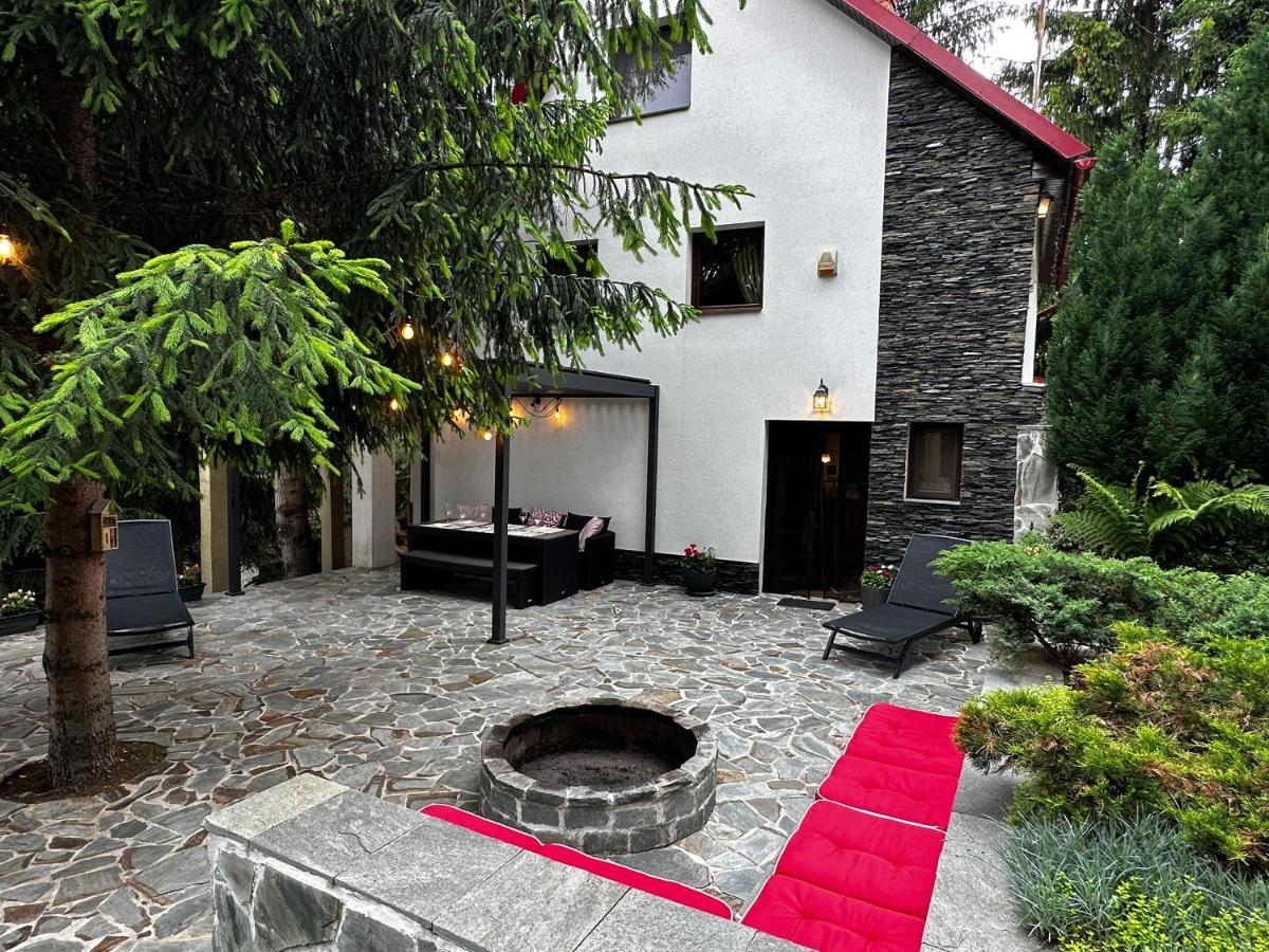 Mountain Chalet - Cabana La Muntele Baisorii Muntele Cacovei  Zewnętrze zdjęcie